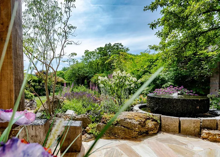 Mijn-habitat 法尔肯堡