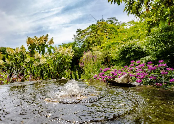 Mijn-habitat 招待所